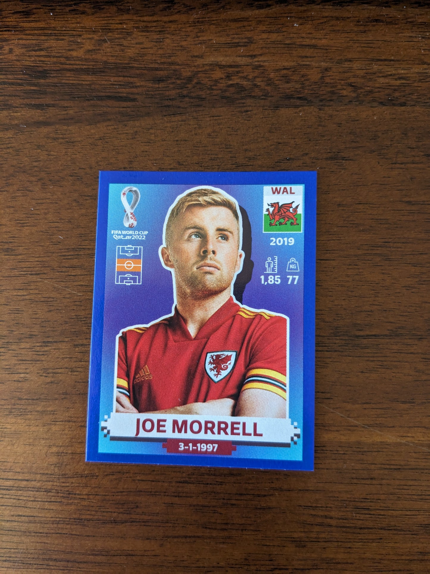 2022 Panini World Cup Qatar Stickers - Parallels Blue - Joe Morrell - WAL13